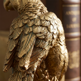 Eagle body detail shot
