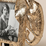 Elephant frame side detail shot