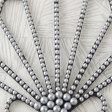 Scallop Shell Pearl Outline Close Up