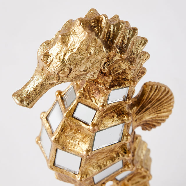 Seahorse head closeup view
