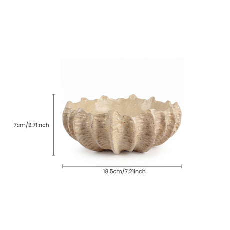 Shell Shaped Resin Bowl With Size
