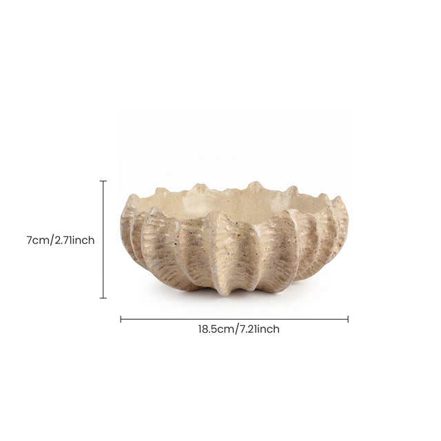 Shell Shaped Resin Bowl With Size
