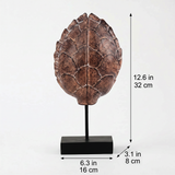 Sized tortoise shell ornament
