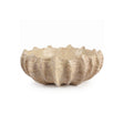 Speckled Shell Shaped Resin Decorative Bowl