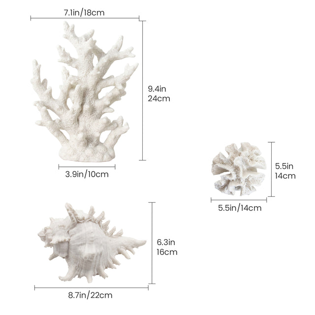 Three Piece Coral Shell Set With Size