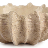 Wavy Edge Shell Bowl Texture Detail