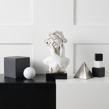White-bust-on-modern-black-white-shelf
