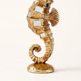 Whole seahorse part close shot
