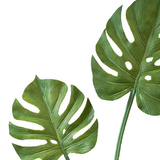 artificial monstera leaves detail