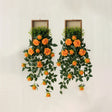 bohemian wood wall hanging plant shelf 