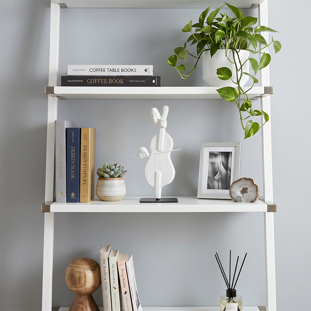 cello sculpture on white shelf with plant