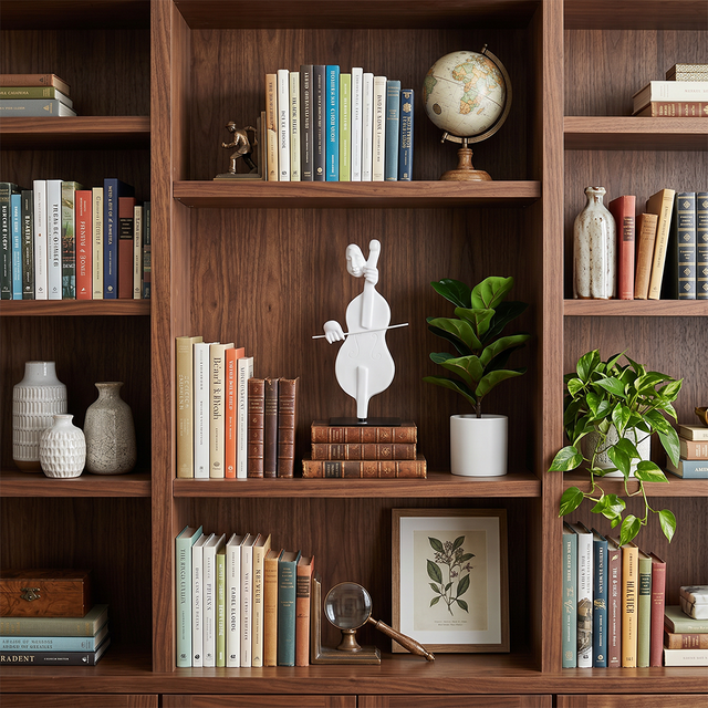 cello sculpture on wooden bookshelf with books