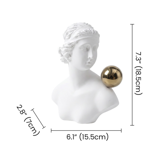 classical bust dimensions and size guide