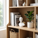 classical bust on wooden shelf with books