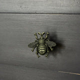 handle on dark cabinet