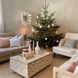 large airtight christmas cookie jars ceramic storage containers as table decor