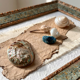 macro shot of abalone shell in shadow box