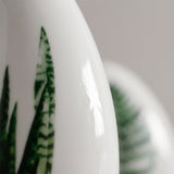 macro shot of snake plant leaf print details