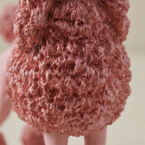 macro shot of textured poodle fur details
