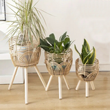 rattan plant stands indoors 