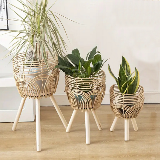 rattan plant stands indoors 