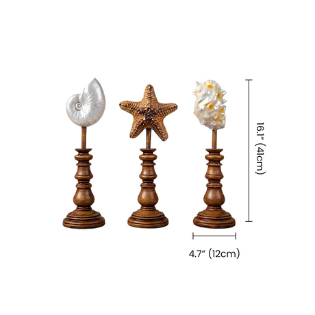 sea shell decorations on wooden stands lineup