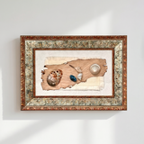 vintage shell and seashell shadow box wall art