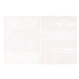 vintage-style-pearl-glaze-white-rectangular-wall-tiles-close-up-0702