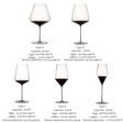 wine goblet glass size chart